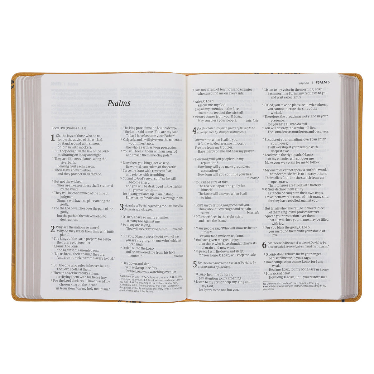 NLT Mustard Bird of Paradise Genuine Leather Bible Large Print