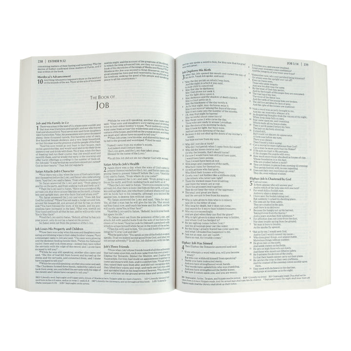 NKJV Economy Bible (Paperback)