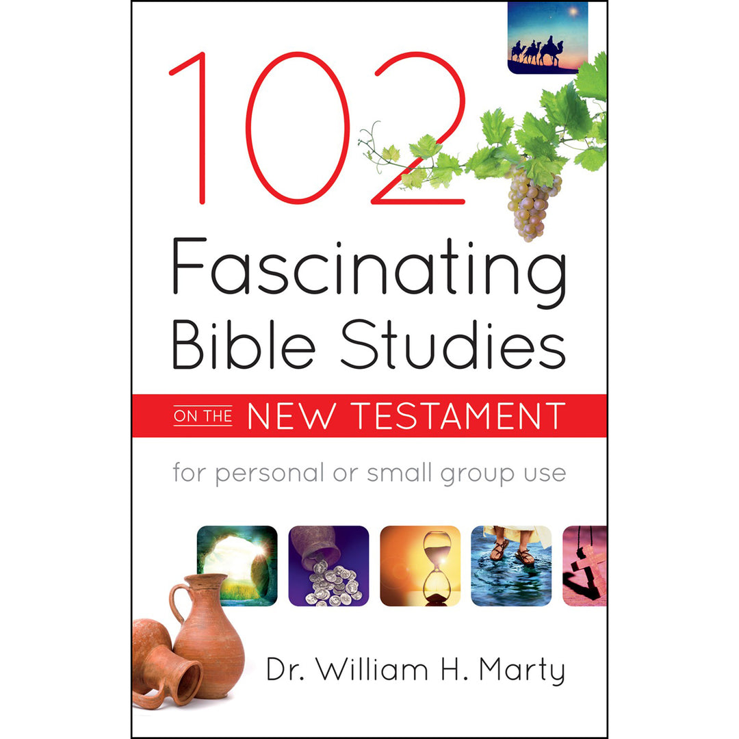 102 Fascinating Bible Studies On The New Testament (Paperback)