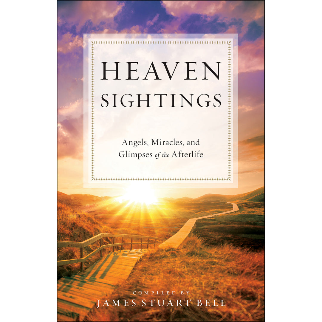 Heaven Sightings (Paperback)