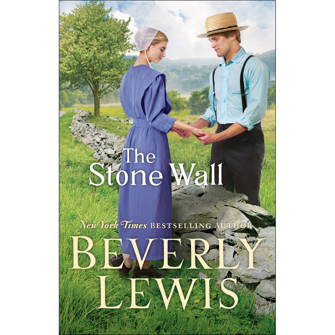 The Stone Wall (Paperback)