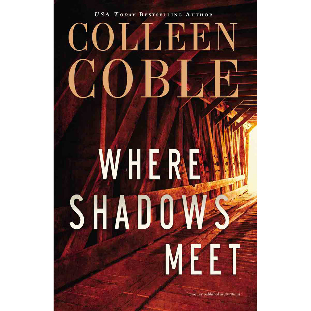 Where Shadows Meet: A Romantic Suspense Novel (Paperback)