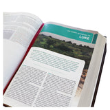 NKJV Study Bible Red Letter Complete Full Color (Comfort Print)(Hardcover)