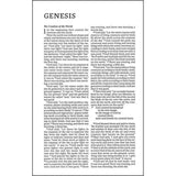 NET Bible Pew And Worship Black (Comfort Print)(Hardcover)