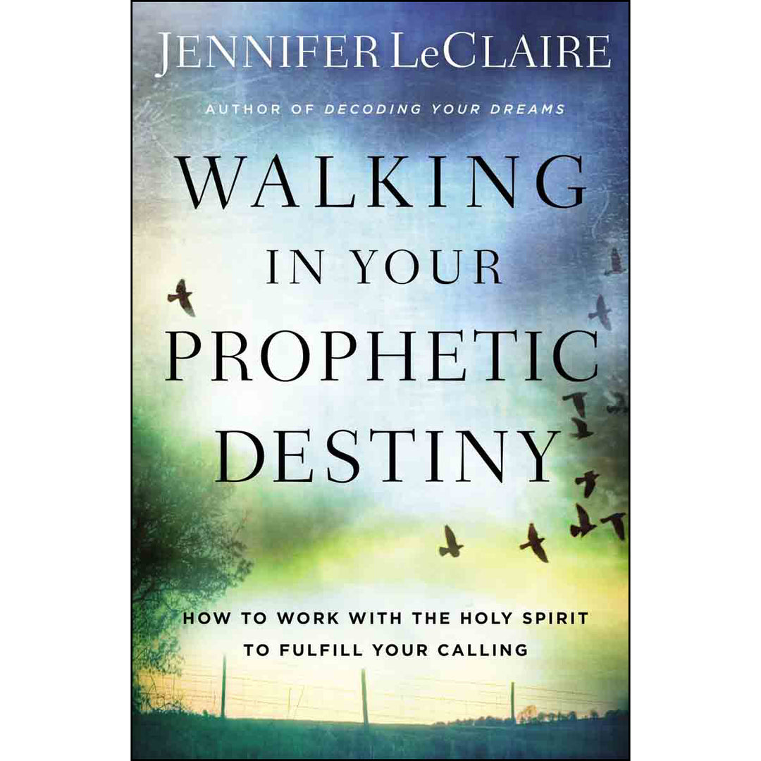 Walking In Your Prophetic Destiny: How To Work With The Holy Spirit (Paperback)