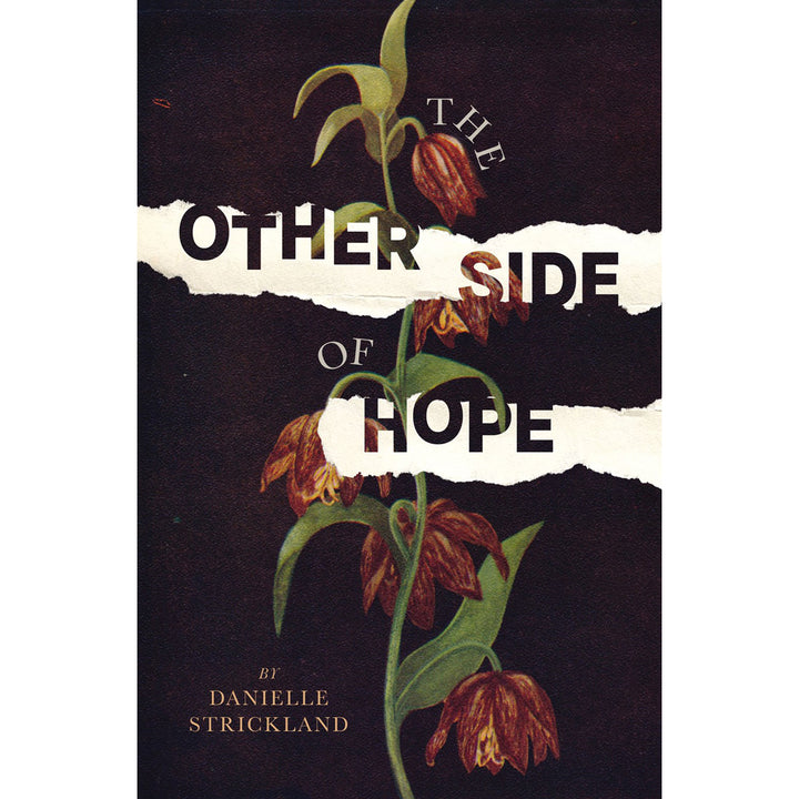 The Other Side Of Hope (Paperback)