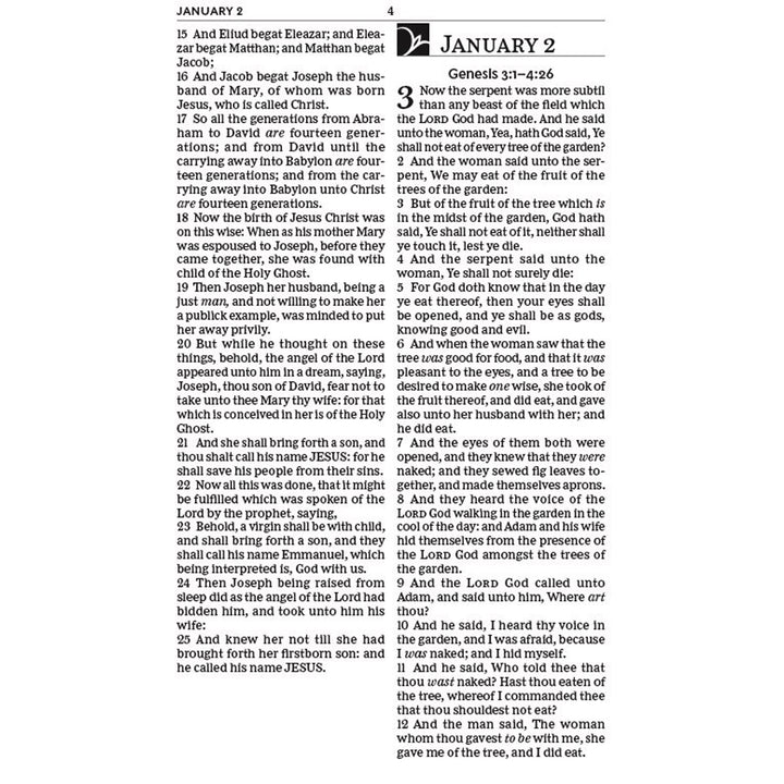 KJV Everyday Bible Red Letter Comfort Print (Paperback)