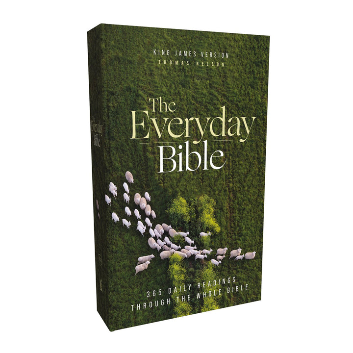 KJV Everyday Bible Red Letter Comfort Print (Paperback)