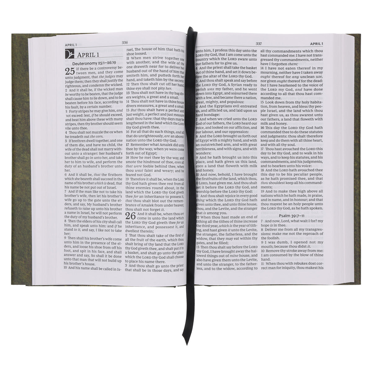 KJV Everyday Bible Red Letter Comfort Print (Hardcover)