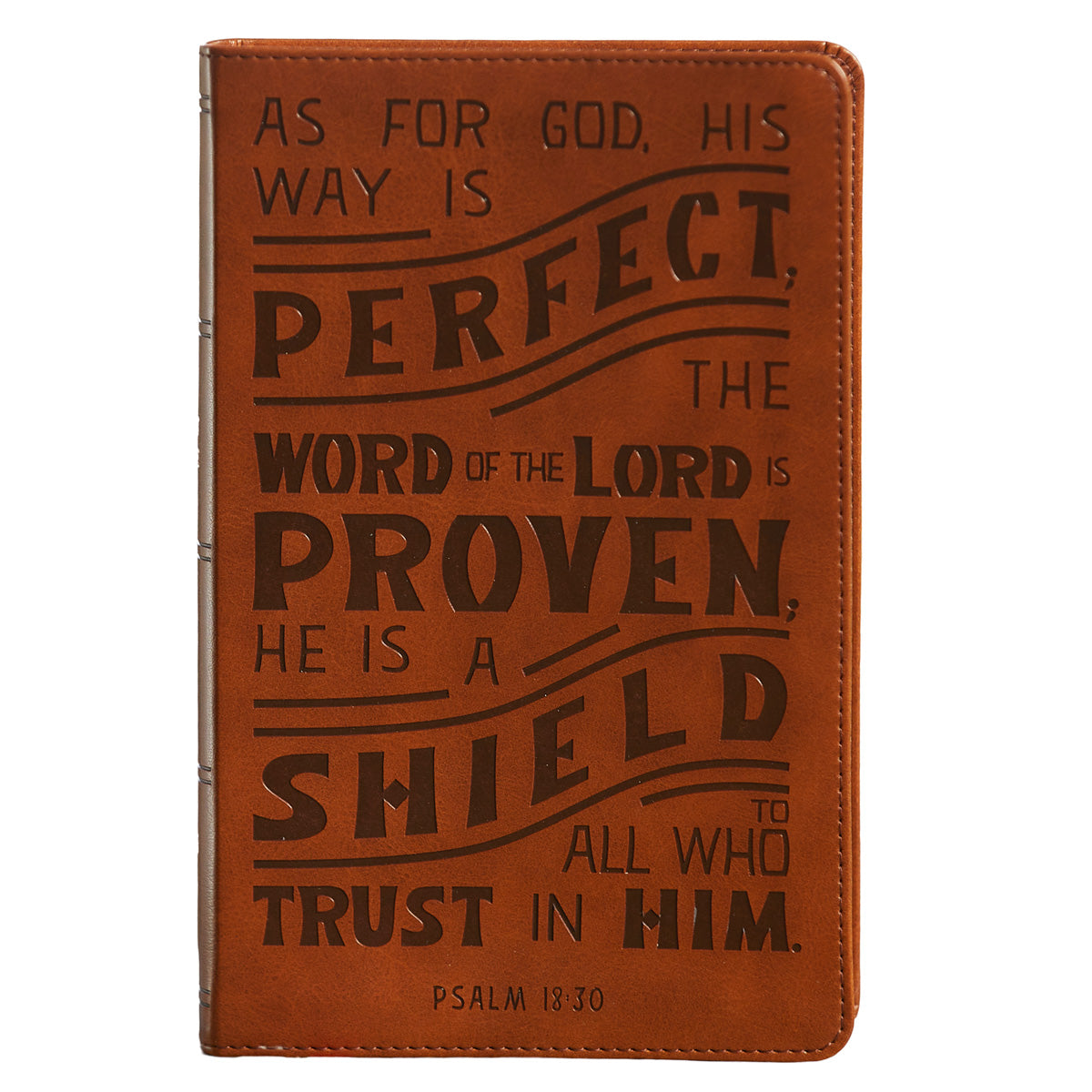 NKJV Personal Size Reference Bible Tan (Comfort Print)(Verse Art
