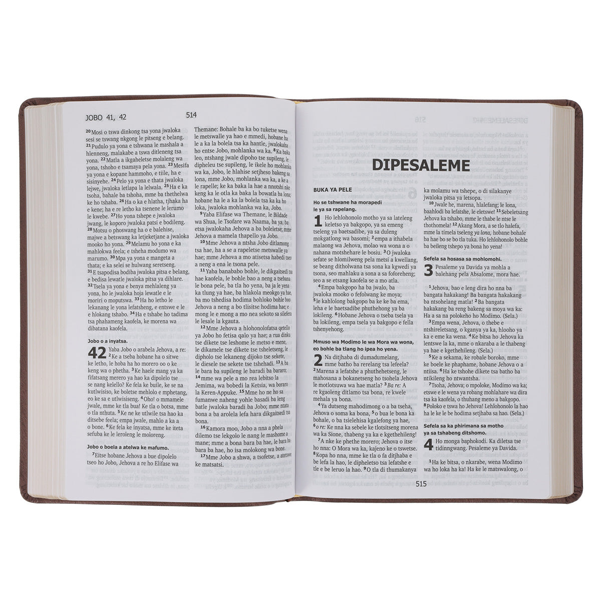 Sesotho (1909) Brown Vinyl Flexcover Bible