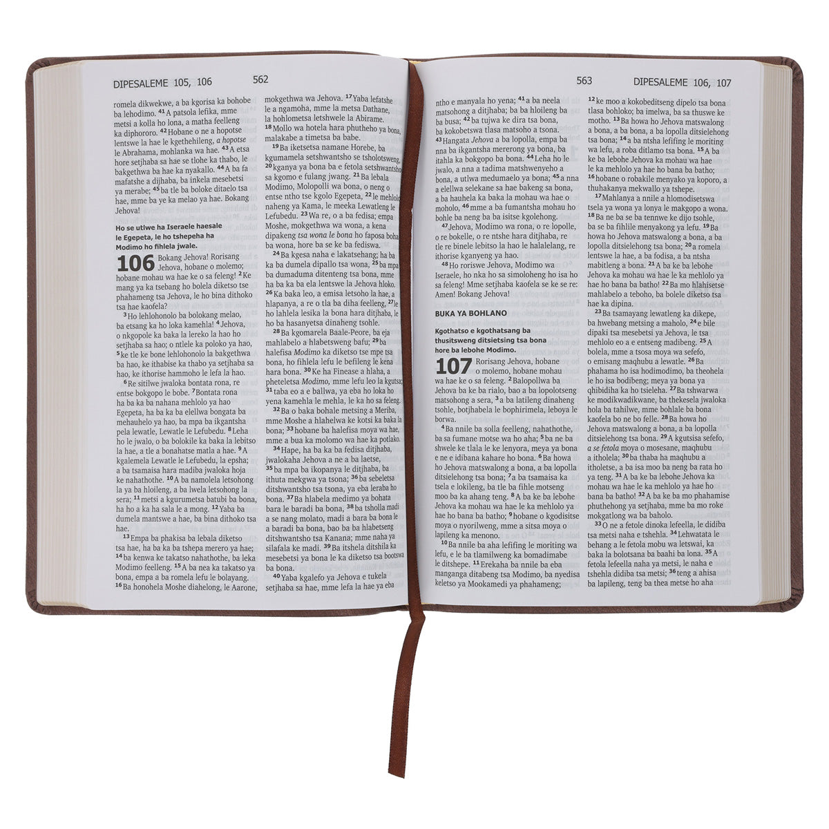 Sesotho (1909) Brown Vinyl Flexcover Bible