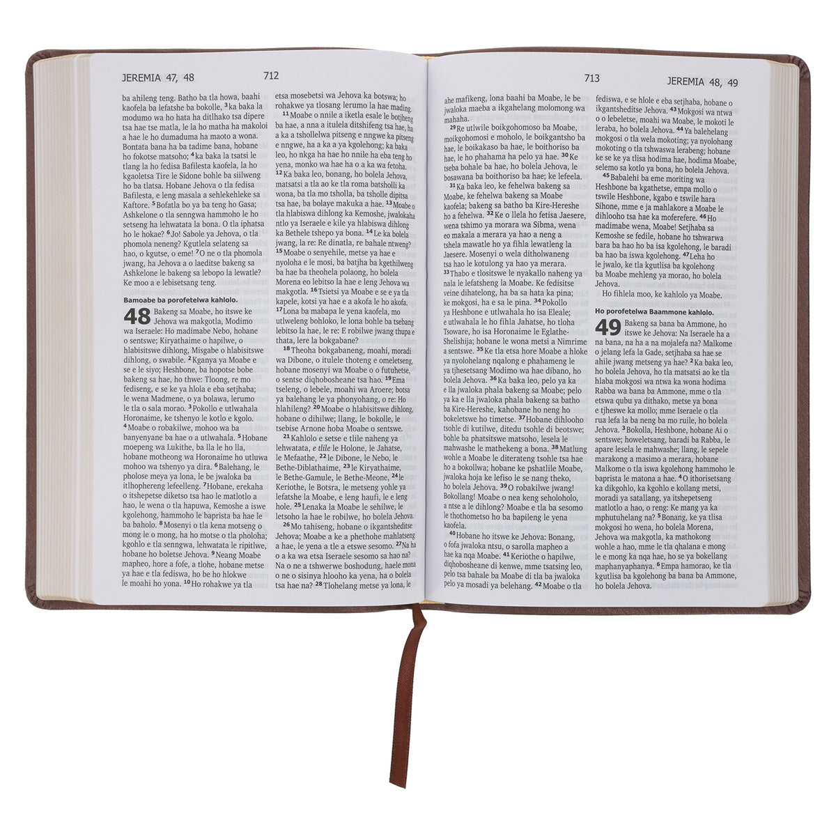 Sesotho (1909) Brown Vinyl Flexcover Bible