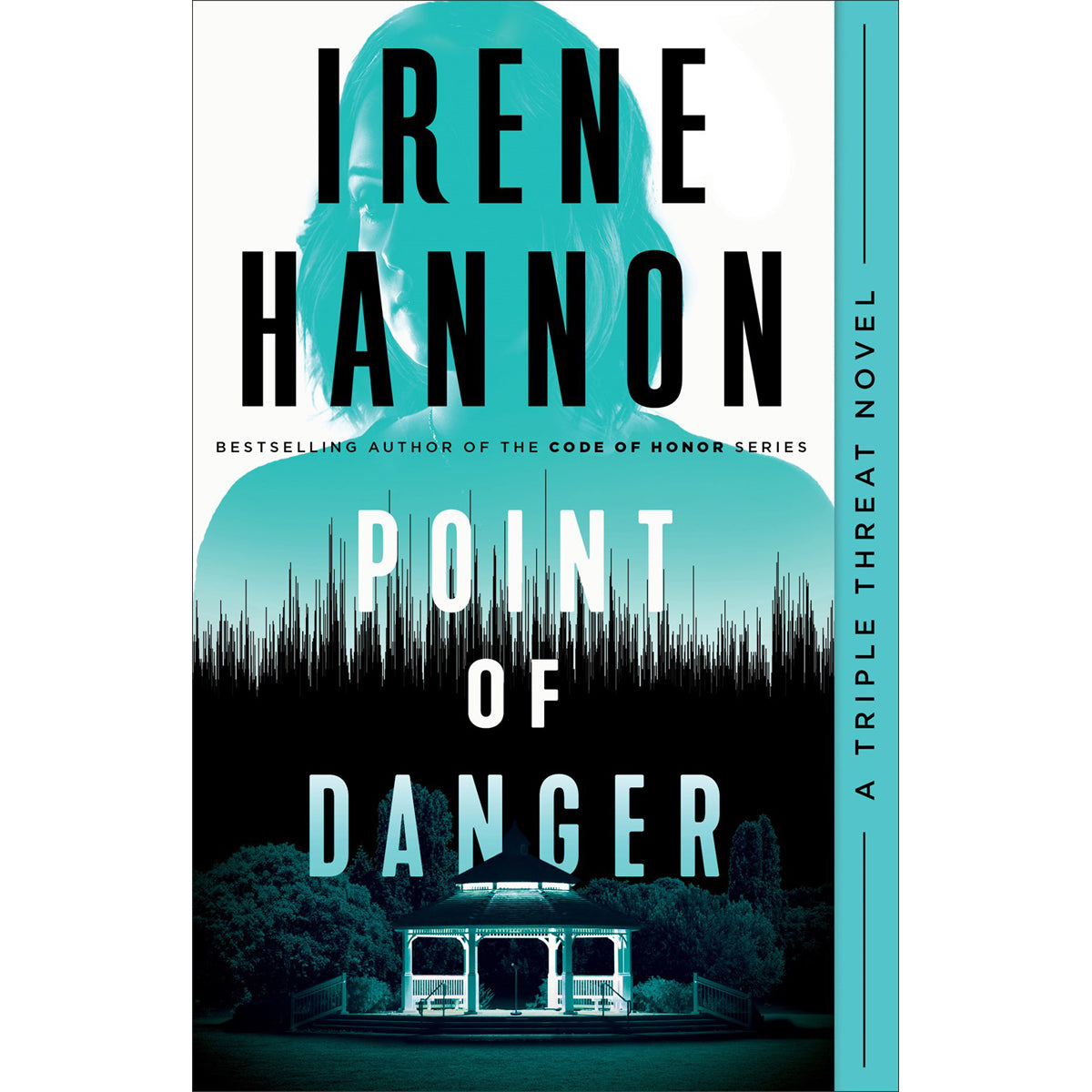 Point Of Danger (1 Triple Threat)(Paperback)