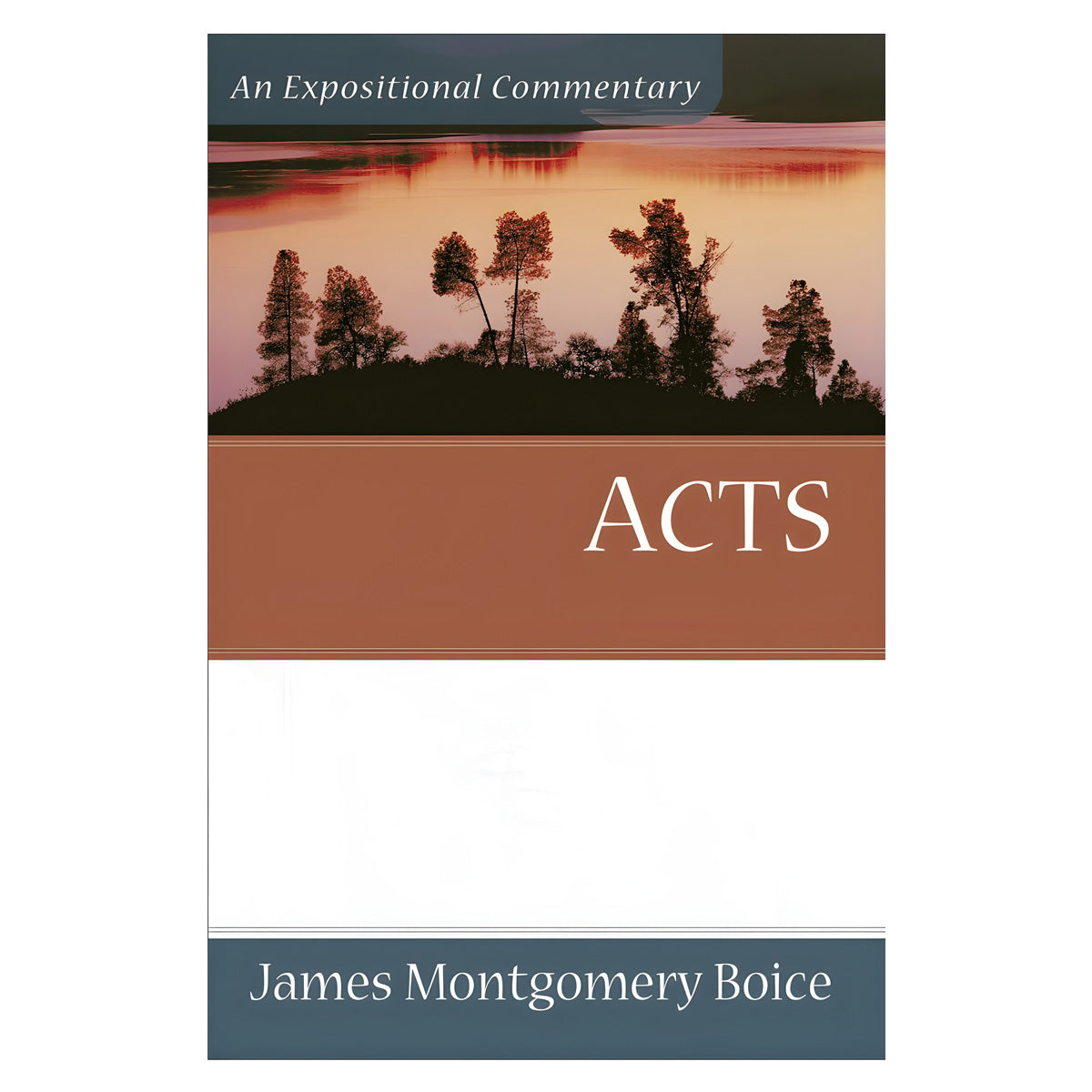 Acts - Expositional Commentary (Paperback)