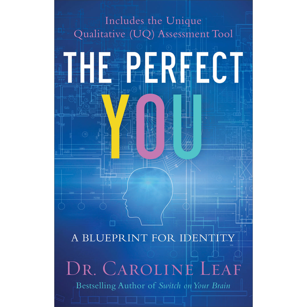 The Perfect You: A Blueprint For Identity (Paperback)