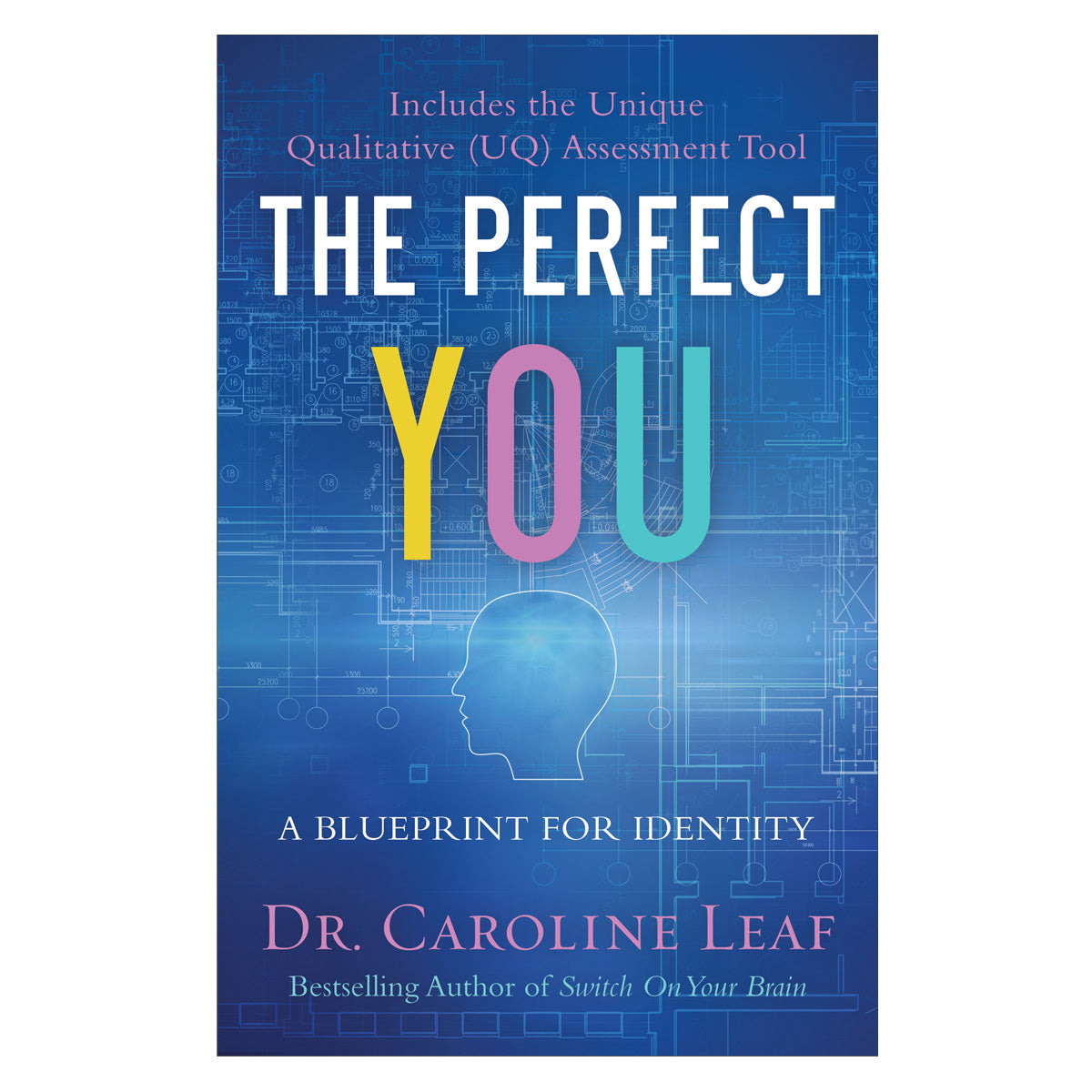 The Perfect You: A Blueprint For Identity (Paperback)