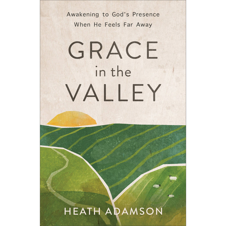 Grace In The Valley (Paperback)