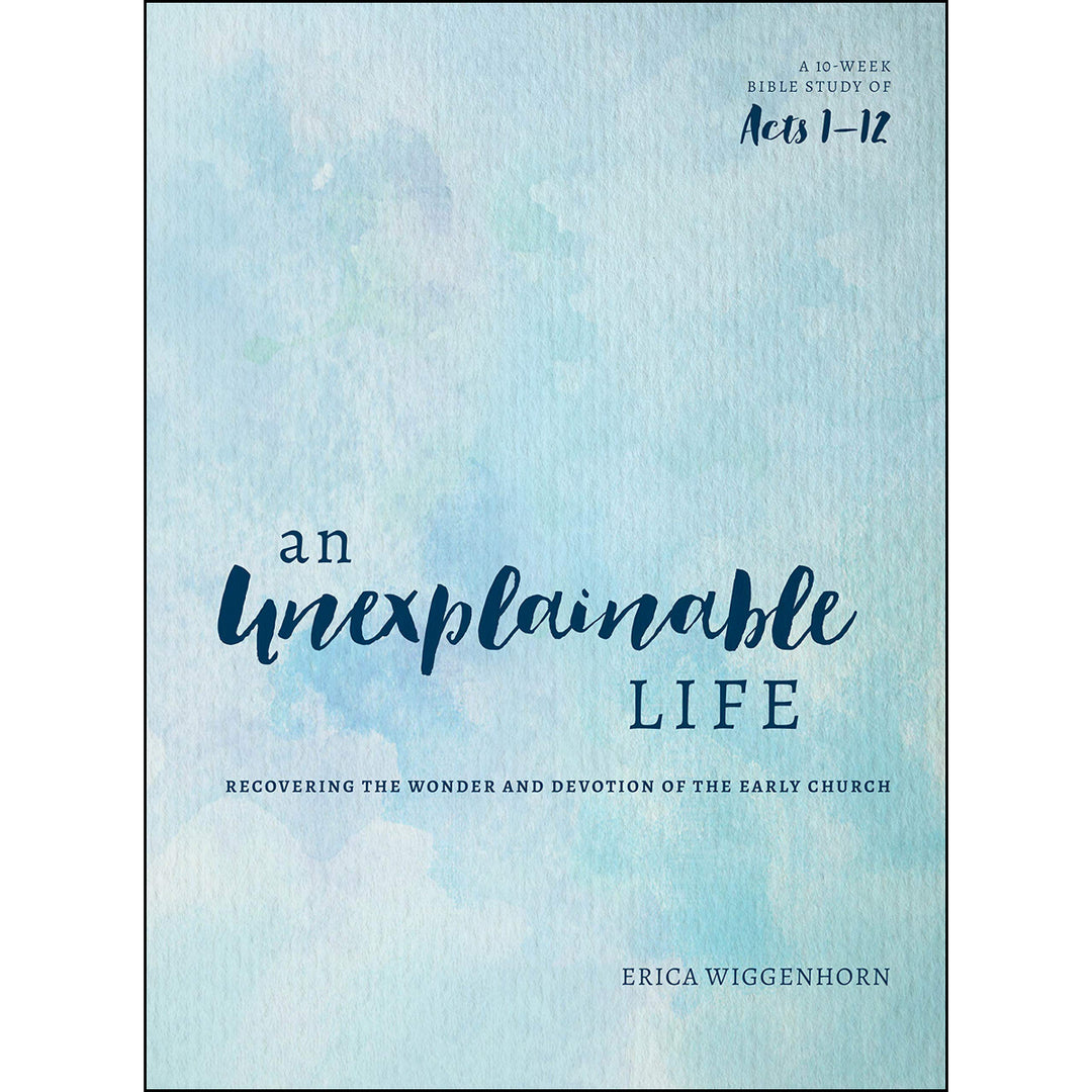 An Unexplainable Life: Recovering The Wonder And Devotion Of The Early Church (Acts 1-12)(Paperback)