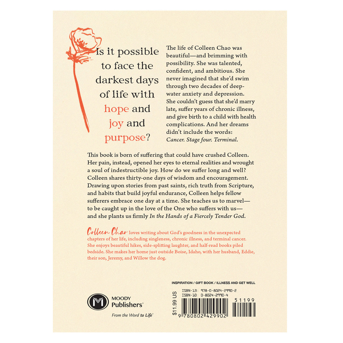 In the Hands of a Fiercely Tender God: 31 Days of Hope, Honesty, and Encouragement PB