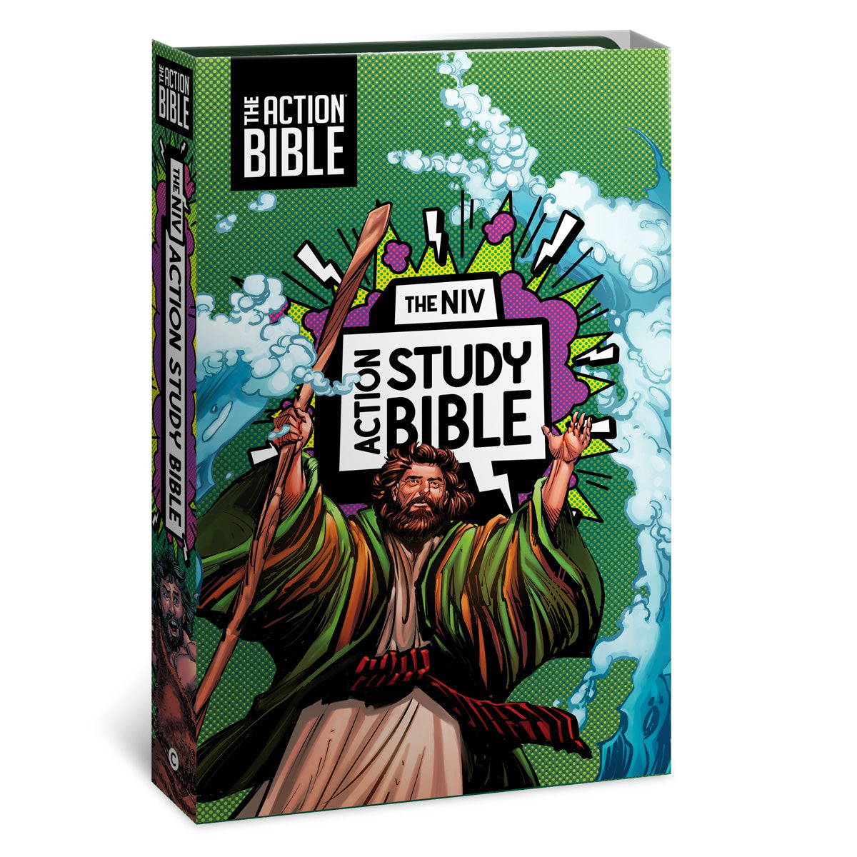 NIV Forest Imitation Leather Action Study Bible