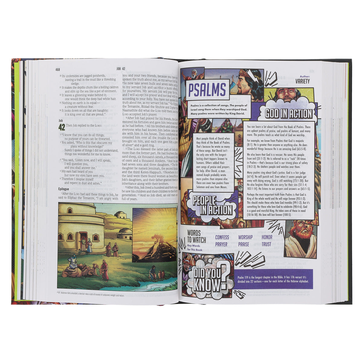 NIV Hardcover Full Color Action Study Bible