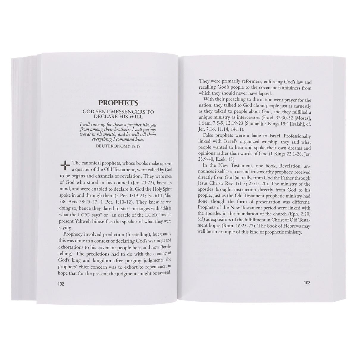 Concise Theology: A Guide to Historic Christian Beliefs (Paperback)