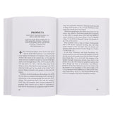 Concise Theology: A Guide to Historic Christian Beliefs (Paperback)