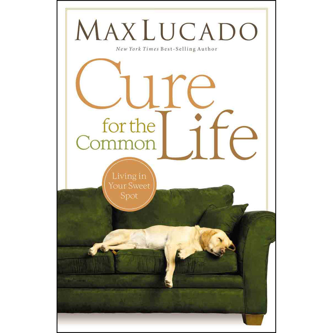 Cure For The Common Life (Paperback)