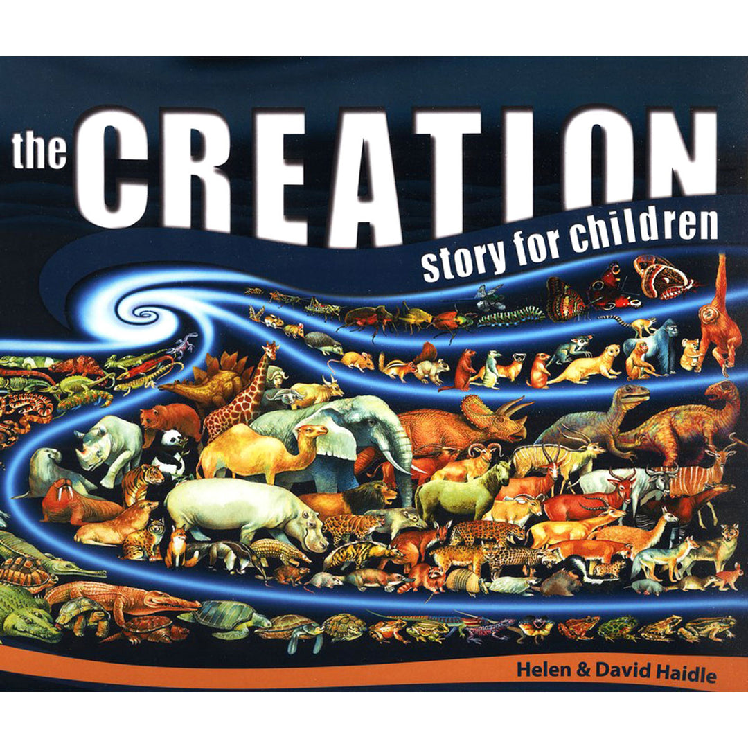The Creation Story For Children (Hardcover)
