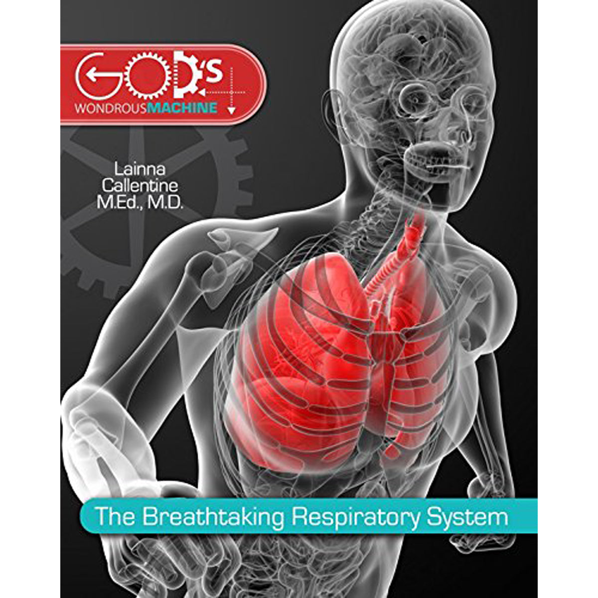 The Breathtaking Respitory System (God's Wondrous Machine)(Hardcover)