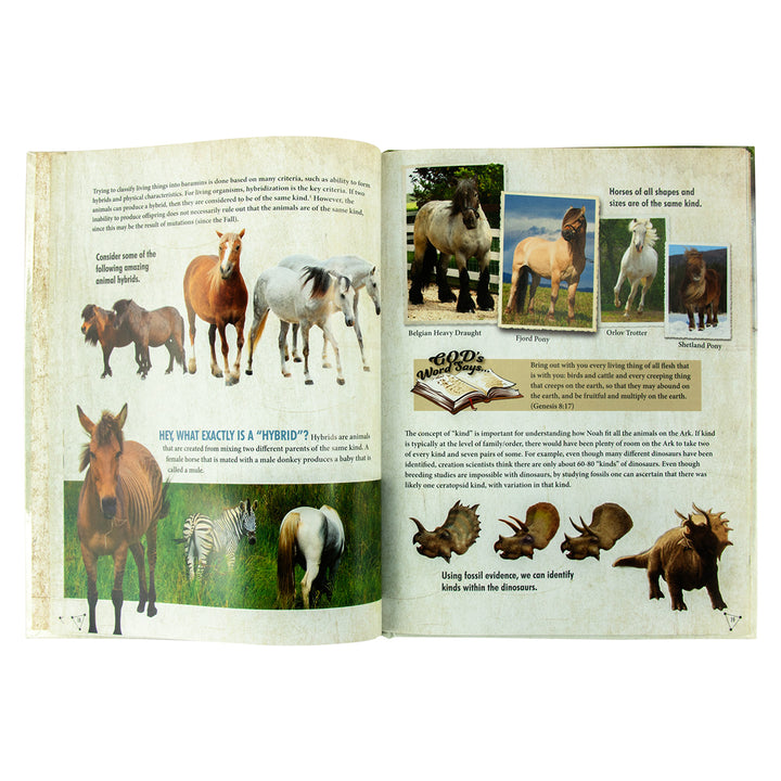 How Many Animals Were On The Ark: Understanding The Animal Kinds (Hardcover)