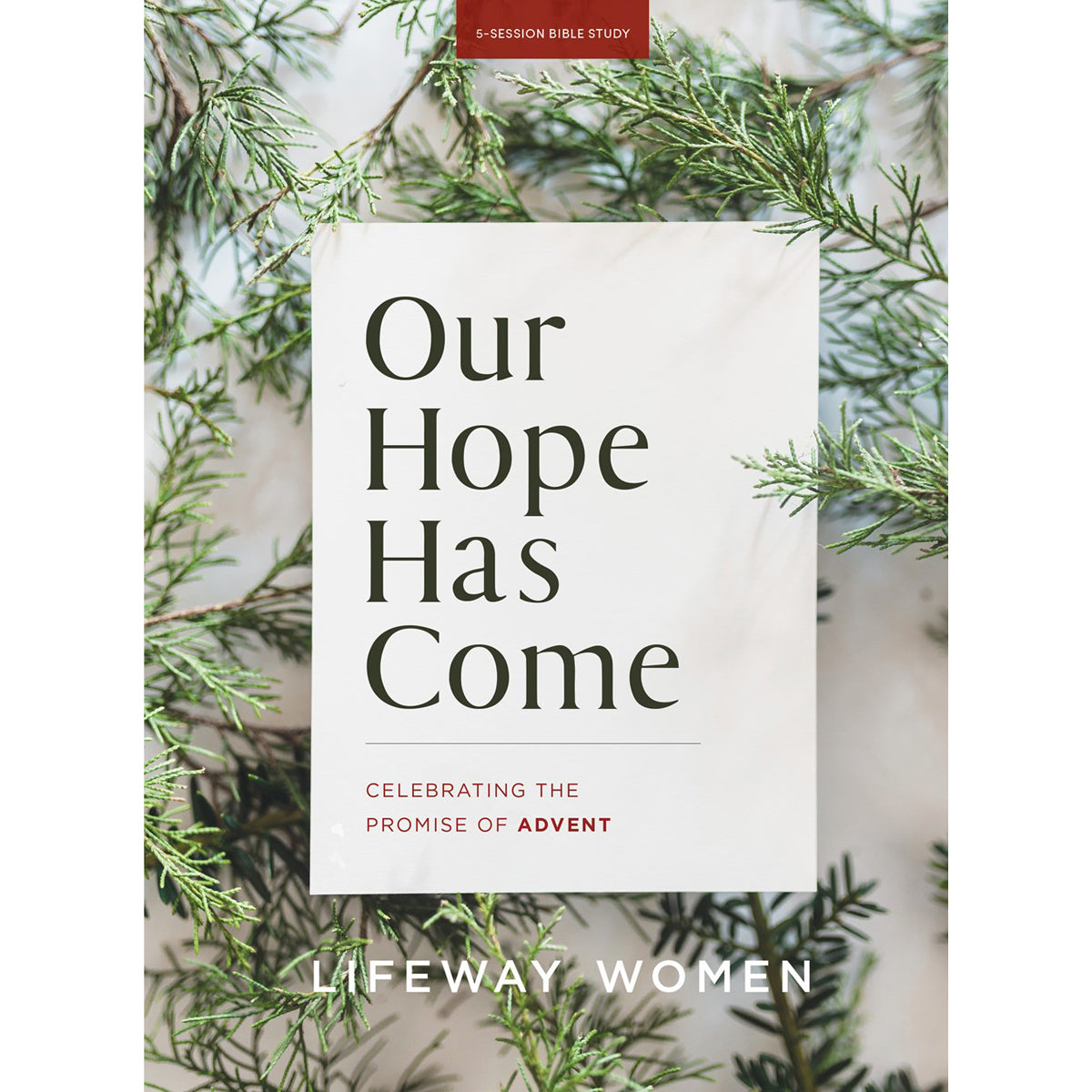 Our Hope Has Come: Celebrating The Promise Of Advent (Paperback)