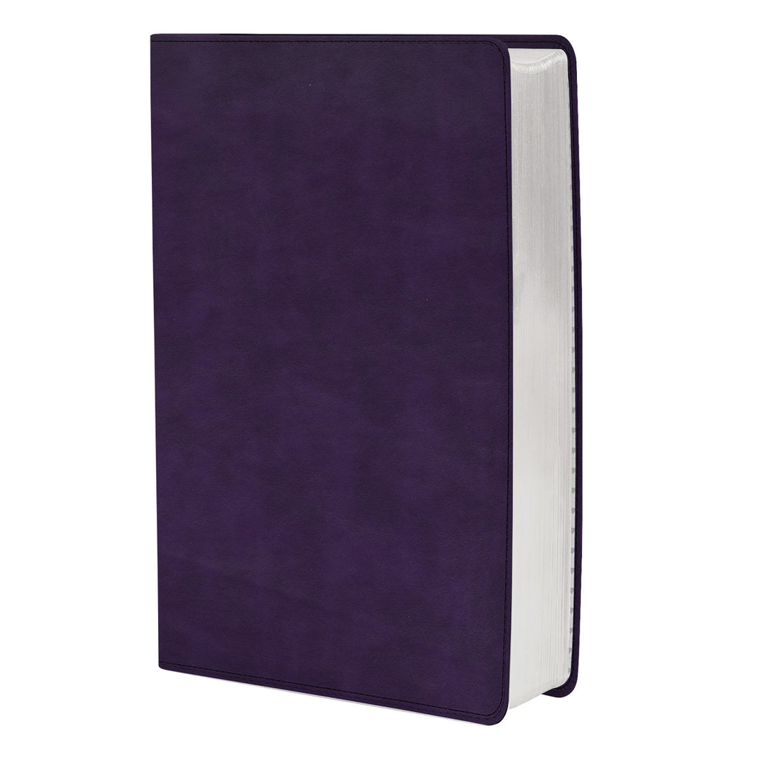 CSB Personal Size Reference Bible Large Print Purple (Imitation Leather)