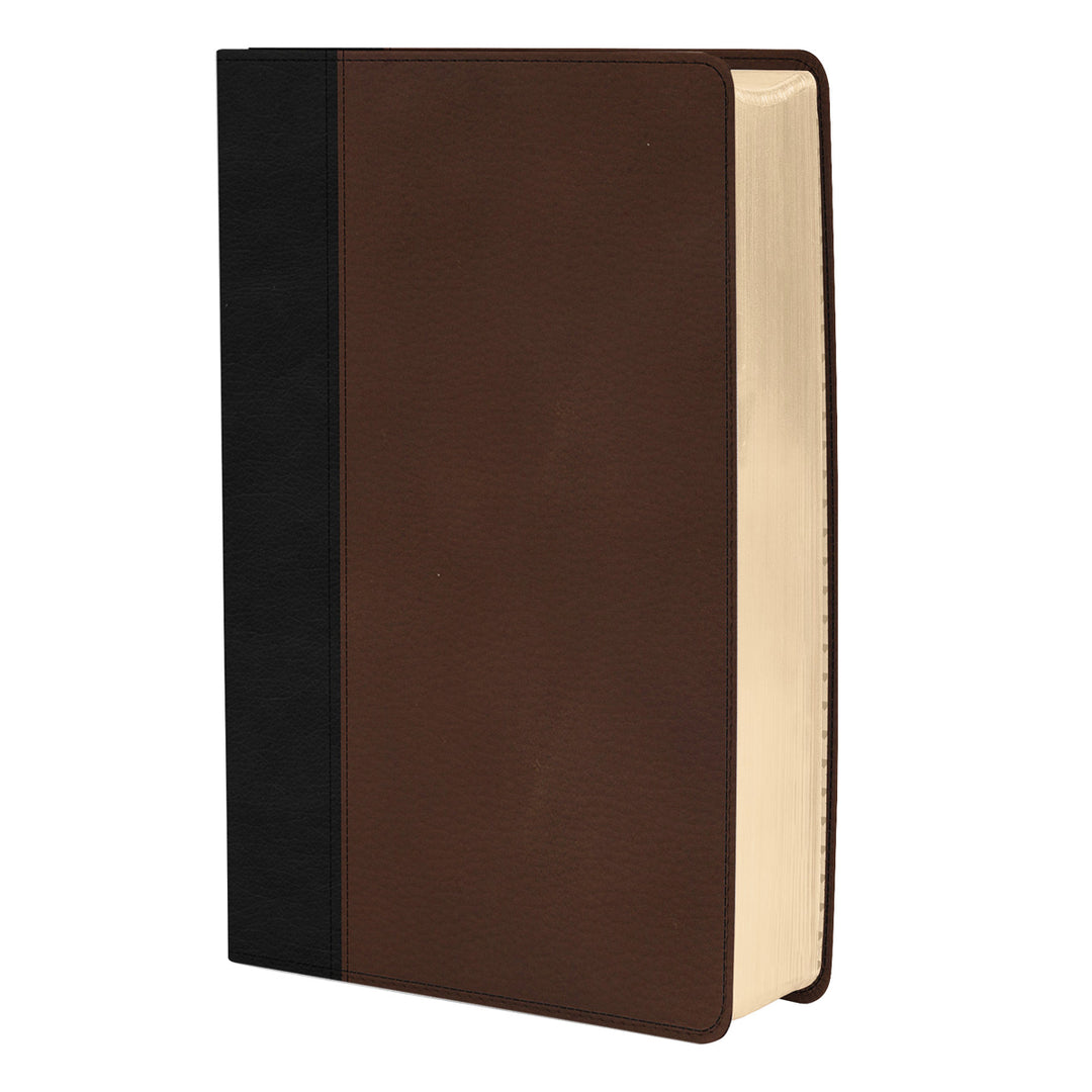 KJV Thinline Bible Black / Brown (Imitation Leather)