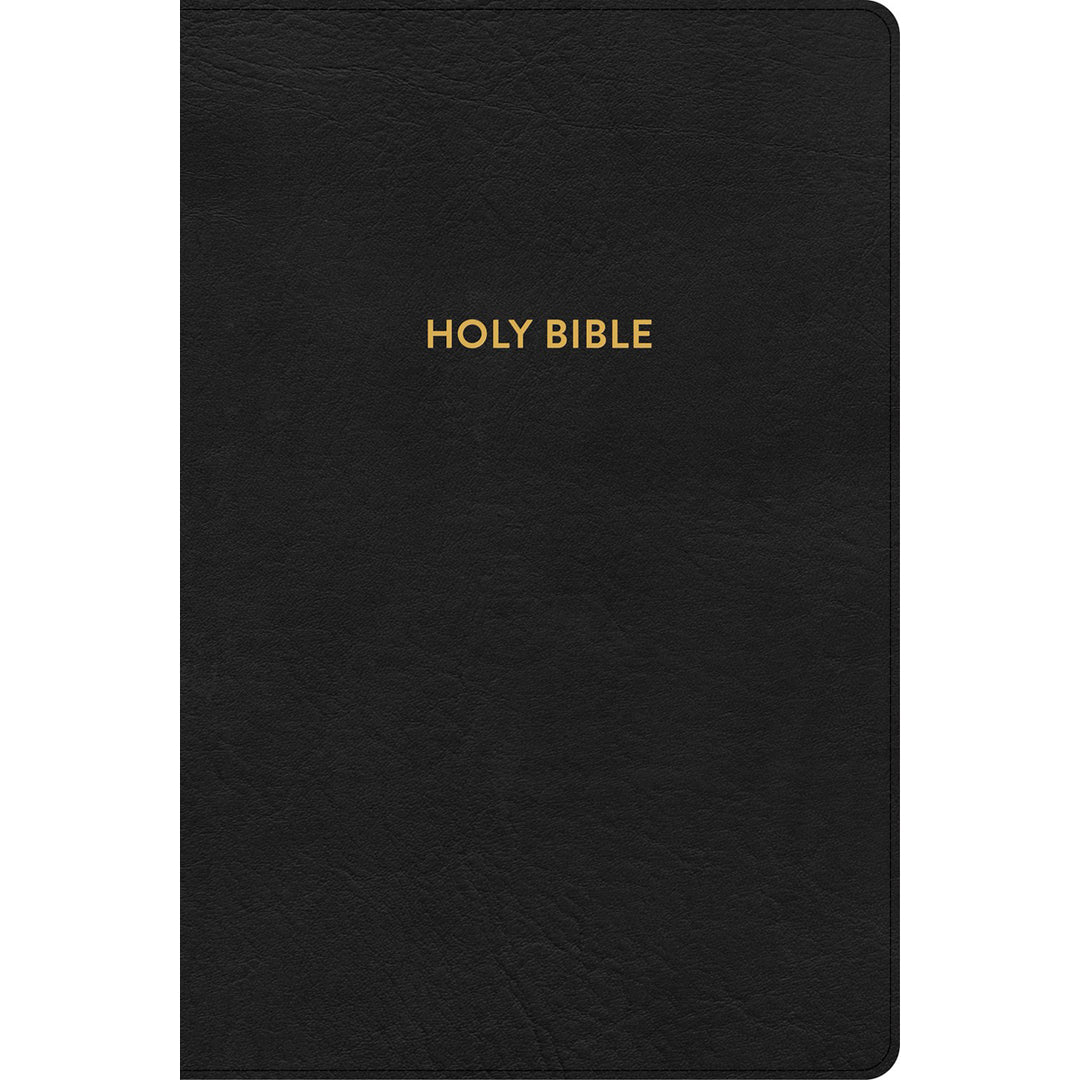 KJV Rainbow Study Bible Black (Imitation Leather)