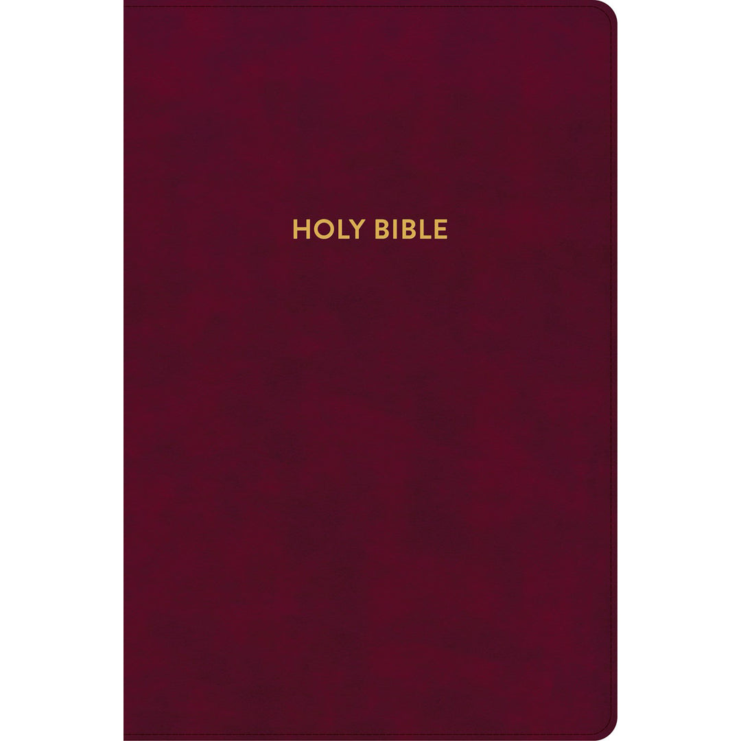 KJV Rainbow Study Bible Indexed Burgundy (Imitation Leather)