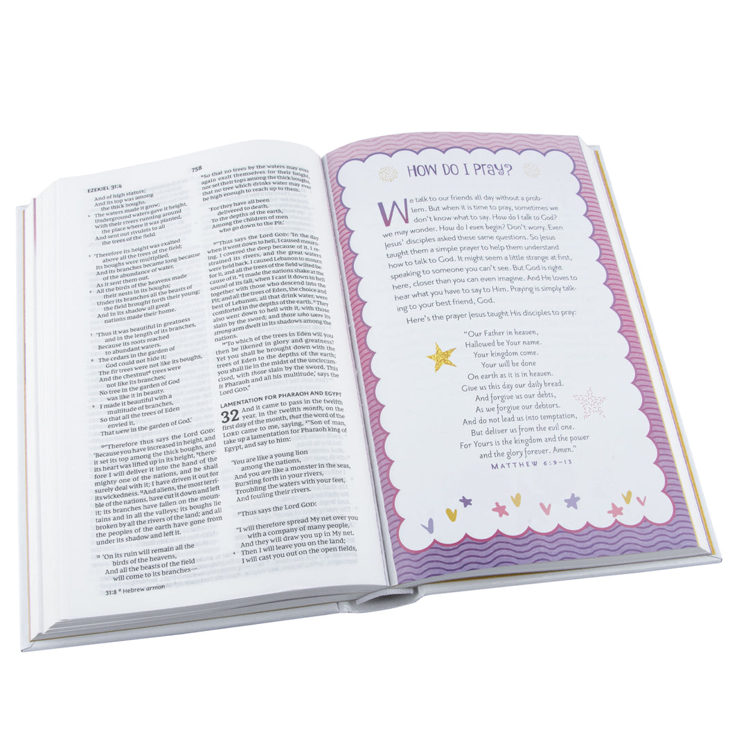 NKJV Sequin Sparkle And Change Bible Silver / Gold (Hardcover)