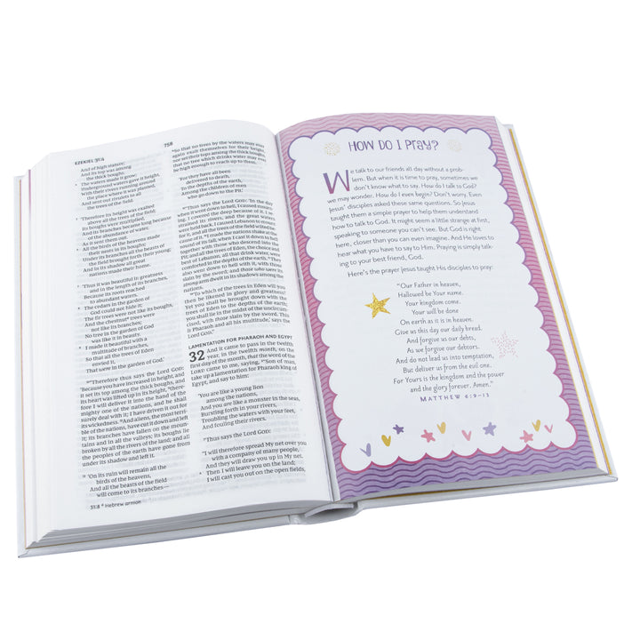 NKJV Sequin Sparkle And Change Bible Silver / Gold (Hardcover)