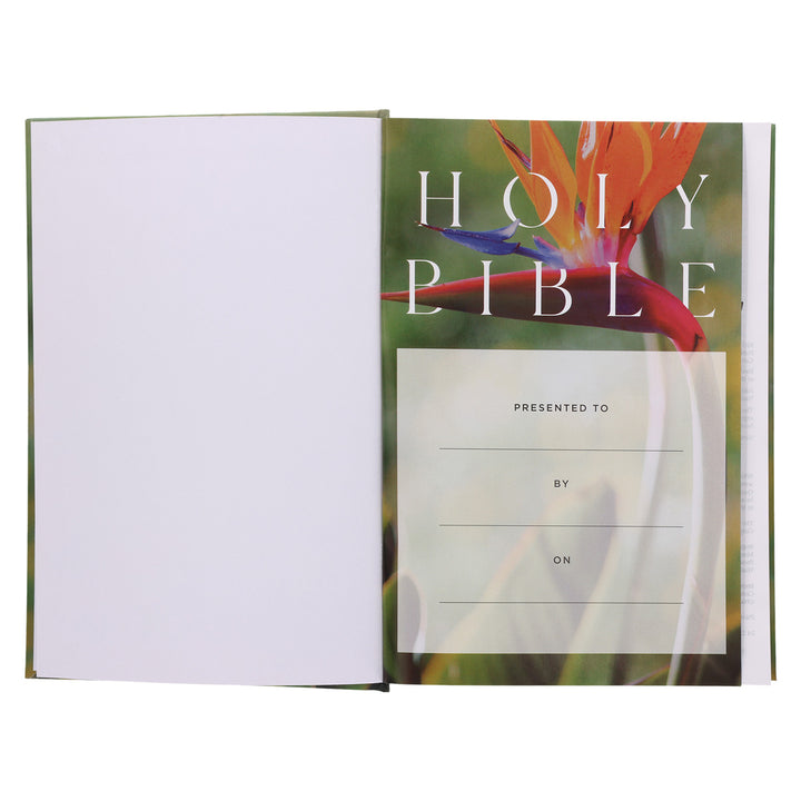 NRSV Bird of Paradise Hardcover Catholic Edition Holy Bible Global Cover Series