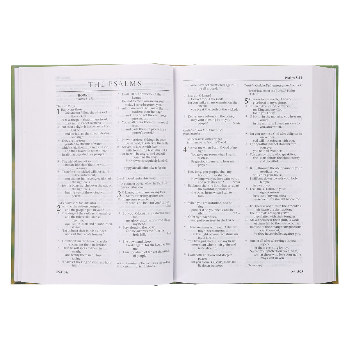 NRSV Bird of Paradise Hardcover Catholic Edition Holy Bible Global