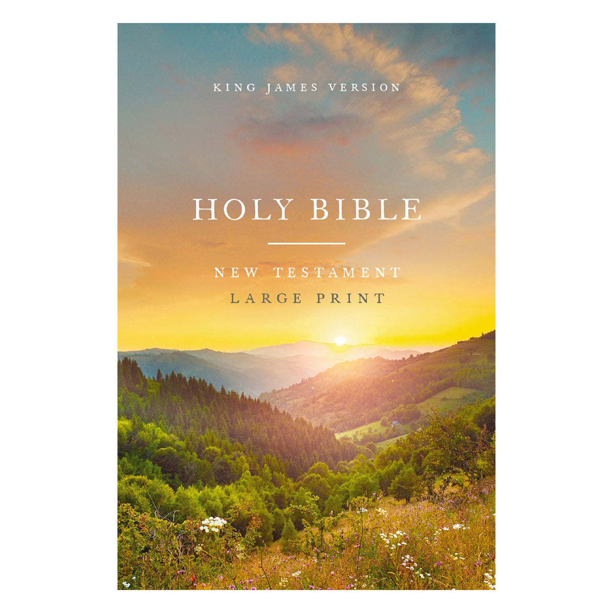 KJV Scenic Paperback Outreach New Testament Bible Large Comfort Print