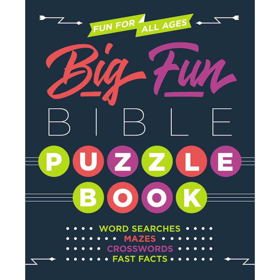 Big Fun Bible Puzzle Book (Paperback)