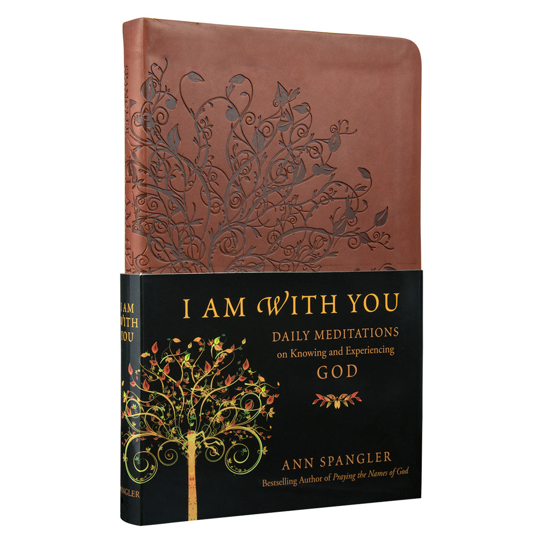 I Am With You: Daily Meditations (Imitation Leather)