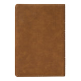 Afrikaans 1933/1953 Vertaling Karamel Kunsleer Verklarende Studiebybel