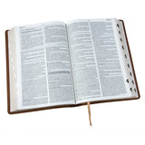 Afrikaans 1933/1953 Vertaling Karamel Kunsleer Verklarende Studiebybel