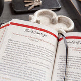 Jesus In Red 365 Meditations On The Words Of Jesus (Imitation Leather)