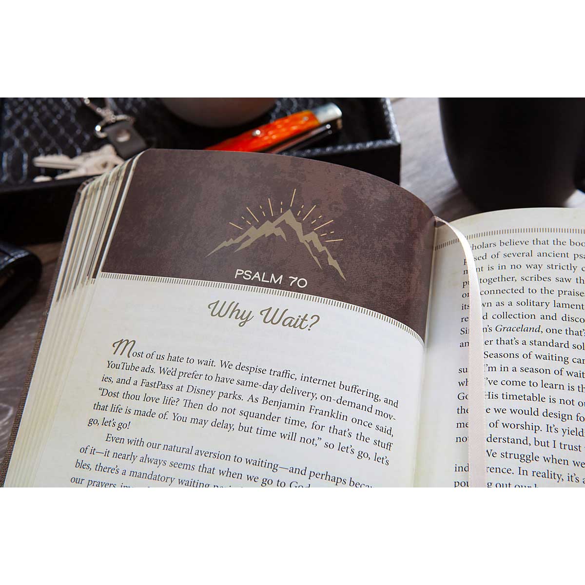 The Ascent: A Devotional Adventure Through The Book Of Psalms (Imitation Leather)