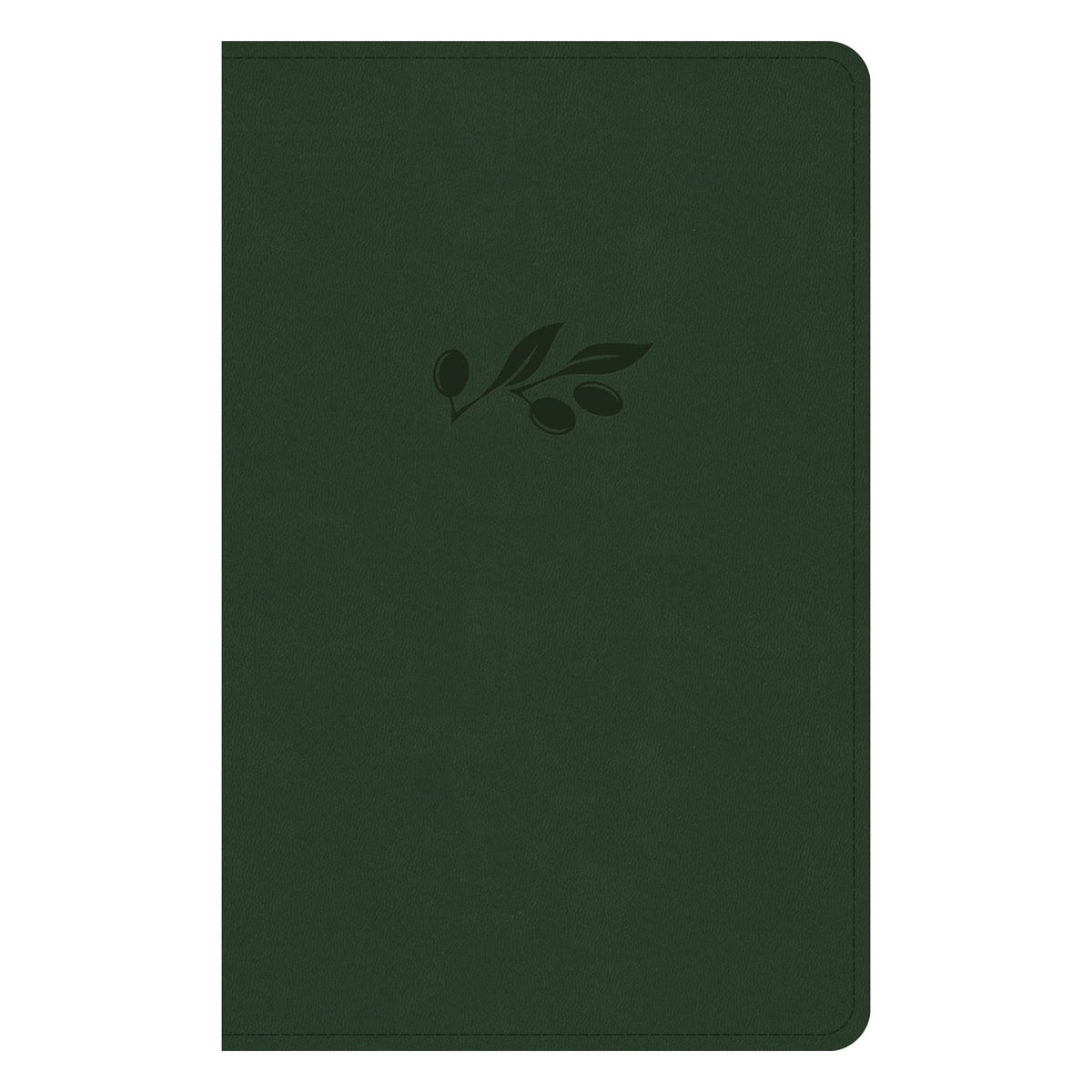 NASB Olive Imitation Leather Personal Size Bible