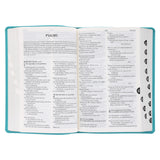 NLV Blougroen Kunsleer Toeligtingsbybel